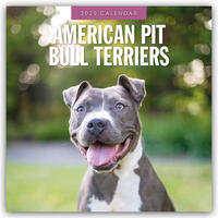 American Pit Bull Terriers – American Pit Bull Terrier 2025 – 16-Monatskalender