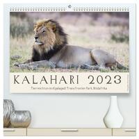 Kalahari - Tierreichtum im Kgalagadi Transfrontier Park, Südafrika (hochwertiger Premium Wandkalender 2024 DIN A2 quer), Kunstdruck in Hochglanz