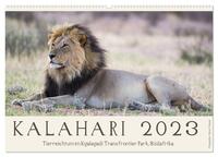 Kalahari - Tierreichtum im Kgalagadi Transfrontier Park, Südafrika (Wandkalender 2024 DIN A2 quer), CALVENDO Monatskalender
