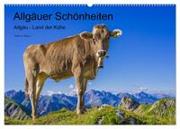 Allgäuer Schönheiten Allgäu - Land der Kühe (Wandkalender 2024 DIN A2 quer), CALVENDO Monatskalender