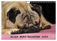 Alles Mops-Kalender 2024 (Wandkalender 2024 DIN A4 quer), CALVENDO Monatskalender