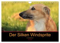 Der Silken Windsprite - ein Seelenhund (Wandkalender 2024 DIN A4 quer), CALVENDO Monatskalender