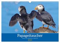 Papageitaucher - Clowns der nordischen Vogelwelt (Wandkalender 2024 DIN A3 quer), CALVENDO Monatskalender