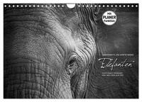 Emotionale Momente: Elefanten in black and white (Wandkalender 2024 DIN A4 quer), CALVENDO Monatskalender