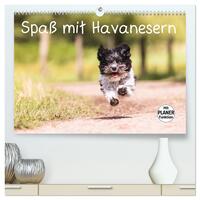Spaß mit Havanesern (hochwertiger Premium Wandkalender 2024 DIN A2 quer), Kunstdruck in Hochglanz