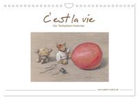 C' est la vie - Der Teddybären Kalender (Wandkalender 2024 DIN A4 quer), CALVENDO Monatskalender