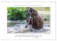 Emotionale Momente: Europäischer Elch Part II (Wandkalender 2024 DIN A3 quer), CALVENDO Monatskalender