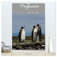 Mit Pinguinen durch das Jahr (hochwertiger Premium Wandkalender 2024 DIN A2 hoch), Kunstdruck in Hochglanz