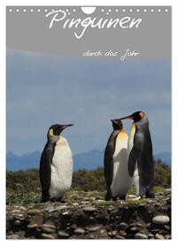 Mit Pinguinen durch das Jahr (Wandkalender 2024 DIN A4 hoch), CALVENDO Monatskalender