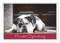 Hunde-Spruchreif (Tischkalender 2024 DIN A5 quer), CALVENDO Monatskalender