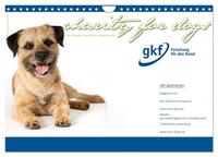 Charity for Dogs - der Kalender zum Wohle unserer Hunde (Wandkalender 2024 DIN A4 quer), CALVENDO Monatskalender