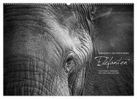 Emotionale Momente: Elefanten in black & white (Wandkalender 2024 DIN A2 quer), CALVENDO Monatskalender