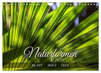 Naturformen, Blatt, Holz, Fels (Wandkalender 2024 DIN A4 quer), CALVENDO Monatskalender