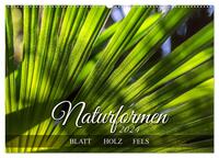 Naturformen, Blatt, Holz, Fels (Wandkalender 2024 DIN A2 quer), CALVENDO Monatskalender