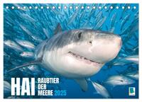 Hai: Raubtier der Meere (Tischkalender 2025 DIN A5 quer), CALVENDO Monatskalender