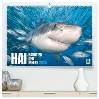 Hai: Raubtier der Meere (hochwertiger Premium Wandkalender 2025 DIN A2 quer), Kunstdruck in Hochglanz