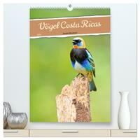 Vögel Costa Ricas (hochwertiger Premium Wandkalender 2025 DIN A2 hoch), Kunstdruck in Hochglanz