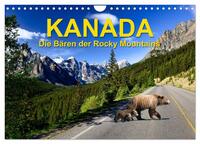 KANADA - Die Bären der Rocky Mountains (Wandkalender 2025 DIN A4 quer), CALVENDO Monatskalender