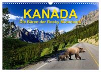 KANADA - Die Bären der Rocky Mountains (Wandkalender 2025 DIN A3 quer), CALVENDO Monatskalender