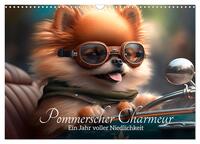 Pommerscher Charmeur Ein Jahr voller Niedlichkeit (Wandkalender 2025 DIN A3 quer), CALVENDO Monatskalender