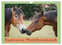 Faszination Pferdefreundschaft (Wandkalender 2025 DIN A4 quer), CALVENDO Monatskalender