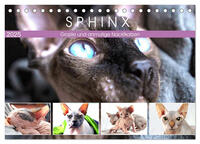 Sphinx. Grazile und anmutige Nacktkatzen (Tischkalender 2025 DIN A5 quer), CALVENDO Monatskalender