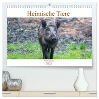 Heimische Tiere - Wildschweine (hochwertiger Premium Wandkalender 2025 DIN A2 quer), Kunstdruck in Hochglanz