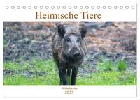 Heimische Tiere - Wildschweine (Tischkalender 2025 DIN A5 quer), CALVENDO Monatskalender
