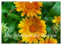 Die Schönheit der Blumen (Wandkalender 2025 DIN A3 quer), CALVENDO Monatskalender