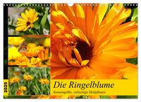 Die Ringelblume. Sonnengelbe, vielseitige Heilpflanze (Wandkalender 2025 DIN A3 quer), CALVENDO Monatskalender