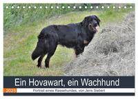Ein Hovawart, ein Wachhund (Tischkalender 2025 DIN A5 quer), CALVENDO Monatskalender