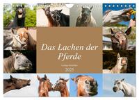 Das Lachen der Pferde - Lustige Gesichter (Wandkalender 2025 DIN A4 quer), CALVENDO Monatskalender