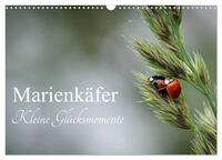 Marienkäfer - kleine Glücksmomente (Wandkalender 2025 DIN A3 quer), CALVENDO Monatskalender
