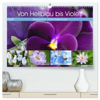 Von Hellblau bis Violett Blütenpracht (hochwertiger Premium Wandkalender 2025 DIN A2 quer), Kunstdruck in Hochglanz