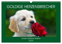 Goldige Herzensbrecher - Golden Retriever Welpen (Wandkalender 2025 DIN A3 quer), CALVENDO Monatskalender