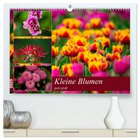 Kleine Blumen ganz groß (hochwertiger Premium Wandkalender 2025 DIN A2 quer), Kunstdruck in Hochglanz