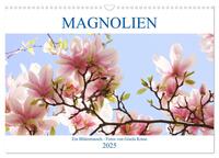 Magnolien Ein Blütenrausch (Wandkalender 2025 DIN A3 quer), CALVENDO Monatskalender