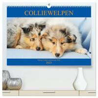 Colliewelpen - kleine Collies erobern die Welt (hochwertiger Premium Wandkalender 2025 DIN A2 quer), Kunstdruck in Hochglanz