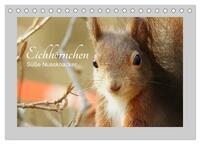 Eichhörnchen - Süße Nussknacker (Tischkalender 2025 DIN A5 quer), CALVENDO Monatskalender
