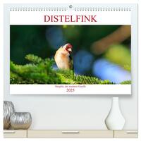 Distelfink (hochwertiger Premium Wandkalender 2025 DIN A2 quer), Kunstdruck in Hochglanz