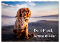 Dein Hund der treue Begleiter (Wandkalender 2025 DIN A2 quer), CALVENDO Monatskalender
