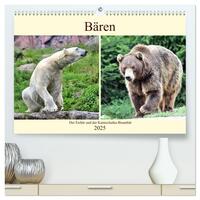 Bären - Der Eisbär und der Kamtschatka-Braunbär (hochwertiger Premium Wandkalender 2025 DIN A2 quer), Kunstdruck in Hochglanz