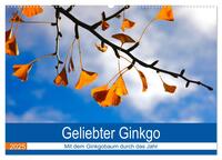Geliebter Ginkgo (Wandkalender 2025 DIN A2 quer), CALVENDO Monatskalender