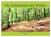 Die Schönheiten der Wälder - Stimmungsvolle Impressionen (Tischkalender 2025 DIN A5 quer), CALVENDO Monatskalender