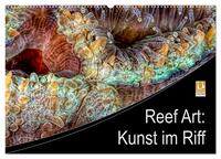Reef Art - Kunst im Riff (Wandkalender 2025 DIN A2 quer), CALVENDO Monatskalender