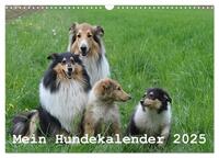 Mein Hundekalender 2025 (Wandkalender 2025 DIN A3 quer), CALVENDO Monatskalender