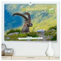 Bergkönige - Steinböcke im Blickpunkt der Naturfotografie (hochwertiger Premium Wandkalender 2025 DIN A2 quer), Kunstdruck in Hochglanz