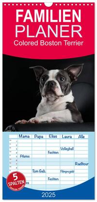 Familienplaner 2025 - Colored Boston Terrier 2025 mit 5 Spalten (Wandkalender, 21 x 45 cm) CALVENDO