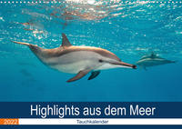 Highlights aus dem Meer - Tauchkalender (Wandkalender 2022 DIN A3 quer)