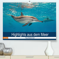 Highlights aus dem Meer - Tauchkalender (Premium, hochwertiger DIN A2 Wandkalender 2022, Kunstdruck in Hochglanz)